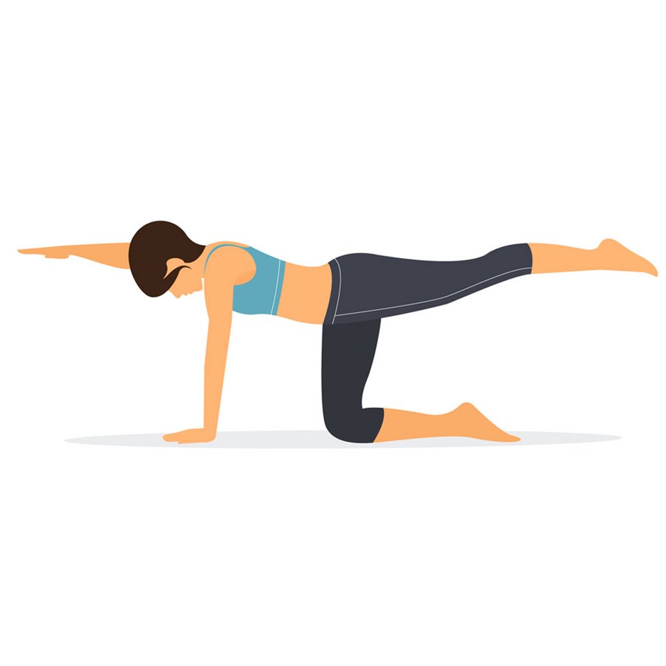 Hilfe gegen Rückenschmerzen: Yoga und Pilates - pilates vierfuessler